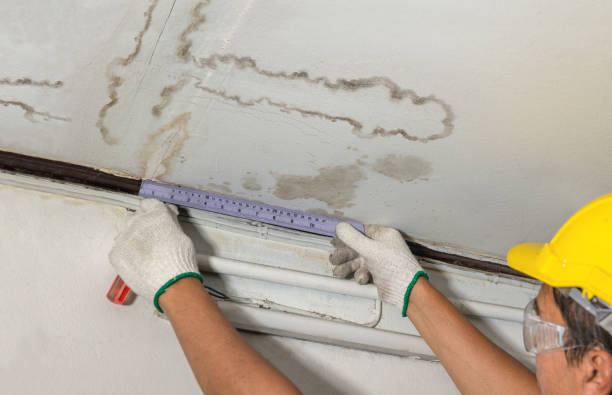 Reliable Water Damage contractor in Springfield, WI by Water Damage Irwin